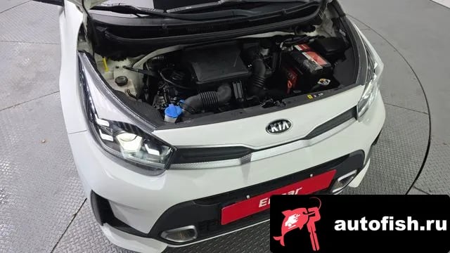 Kia morning Morning Urban (JA) 2021 года - вид 6