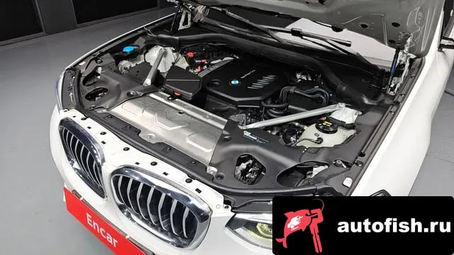 BMW X4 X4 (G02) 2019 года - вид 6