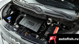 Миниатюра 6