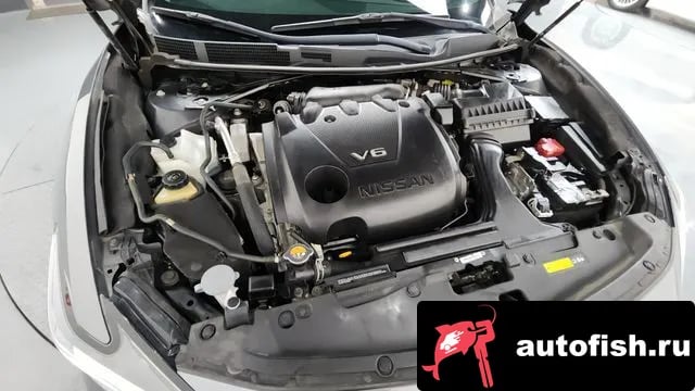 Nissan Maxima Maxima (A36) 2019 года - вид 6