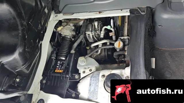 Chevrolet (GM Daewoo) damas New Damas 2020 года - вид 6