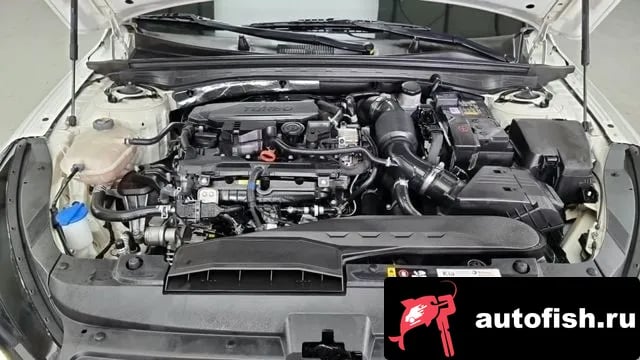 Kia K5 The New K5 3rd generation 2024 года - вид 6