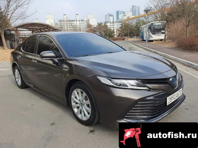 Toyota Camry Camry (XV70) 2020 года - вид 1