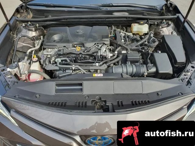 Toyota Camry Camry (XV70) 2020 года - вид 6