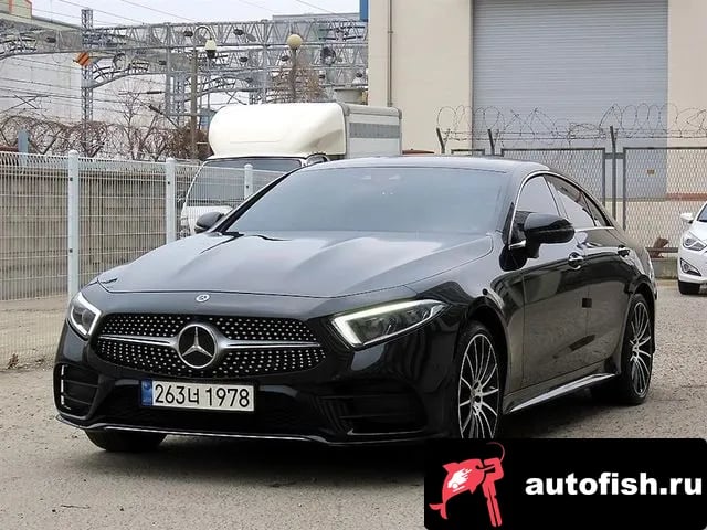 Mercedes-Benz CLS-Class CLS-Class C257 2019 года - вид 2