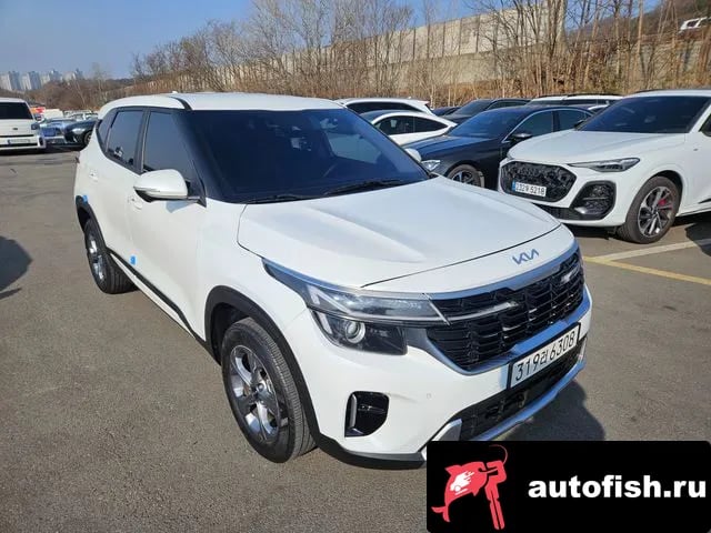 Kia Seltos The New Celtos 2023 года - похожие автомобили