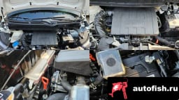 Миниатюра 6