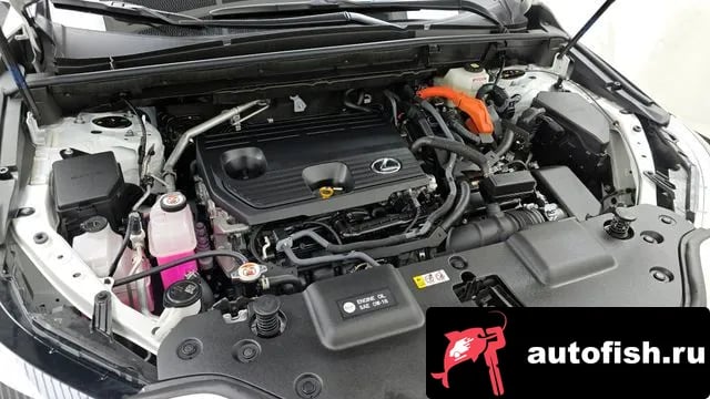 Lexus NX NX350h Second generation 2024 года - вид 6