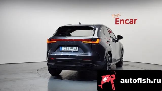 Lexus NX NX350h Second generation 2023 года - вид 4