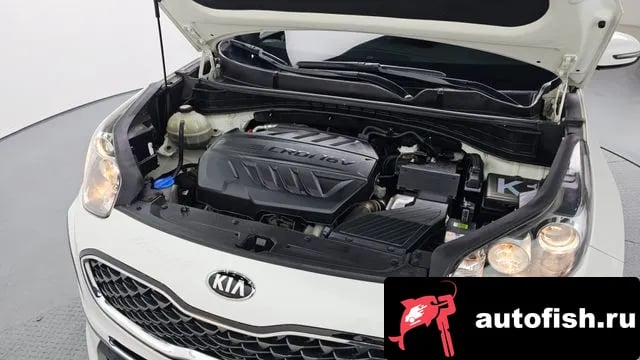 Kia Sportage Sportage The Bold 2019 года - вид 6