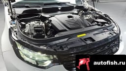 Миниатюра 6