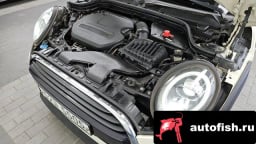 Миниатюра 6