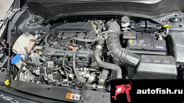 Kia Seltos The New Celtos 2025 года - вид 6