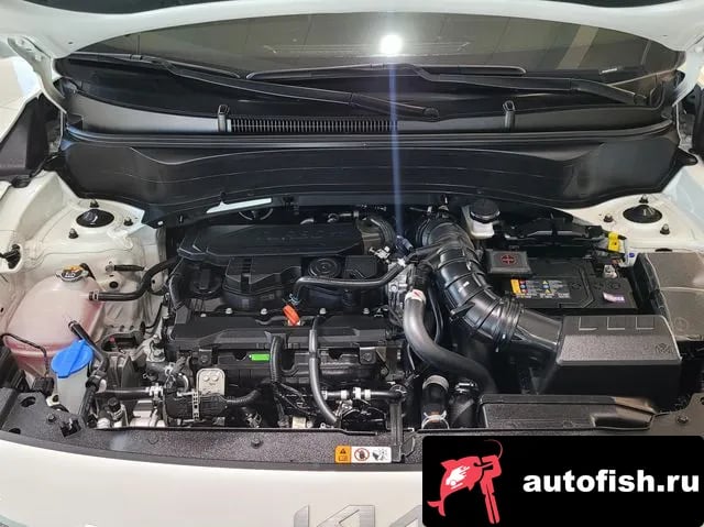 Kia Seltos The New Celtos 2025 года - вид 6