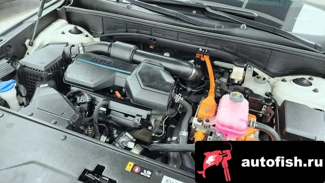 Kia Sorento Sorento 4th Generation 2023 года - вид 6