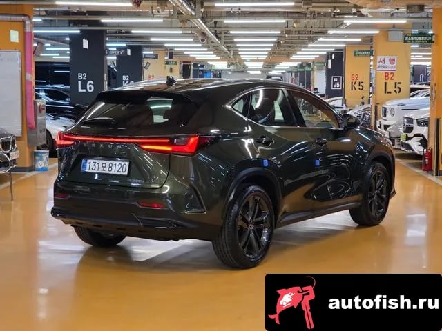 Lexus NX NX350h Second generation 2025 года - вид 2