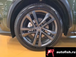 Миниатюра 5