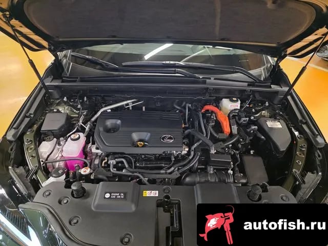 Lexus NX NX350h Second generation 2025 года - вид 6