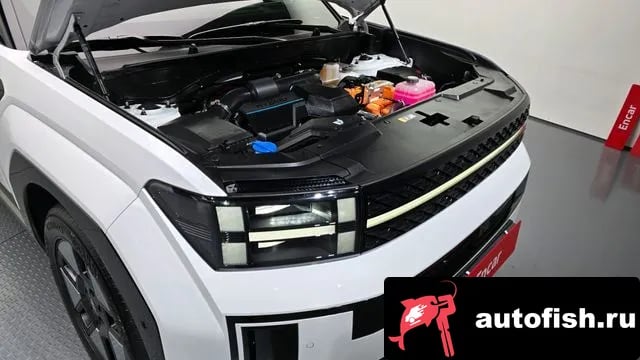 Hyundai Santafe San Tafe (MX5) 2024 года - вид 6