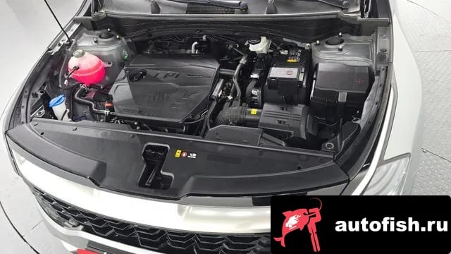 Kia Sportage Sportage 5th Generation 2024 года - вид 6