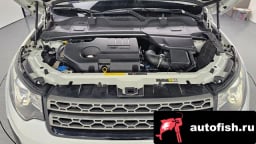 Миниатюра 6