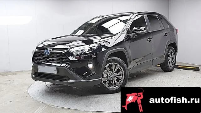 Toyota RAV4 RAV4 5th Generation 2024 года - похожие автомобили