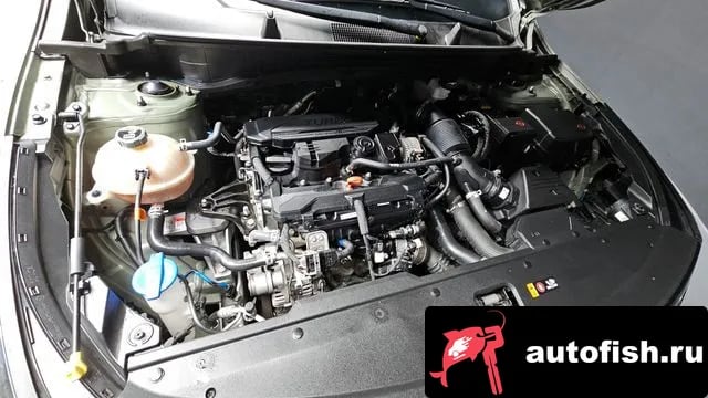 Kia Sportage Sportage 5th Generation 2022 года - вид 6