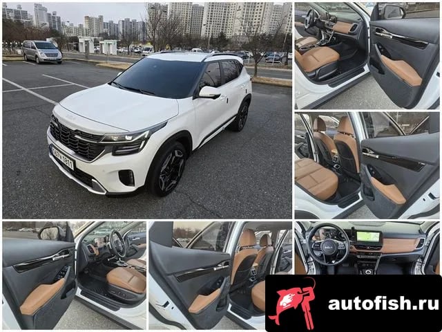 Kia Seltos The New Celtos 2023 года - похожие автомобили