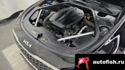 Миниатюра 6