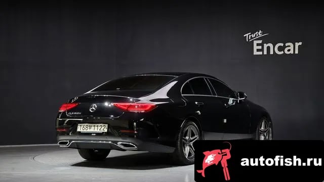 Mercedes-Benz CLS-Class CLS-Class C257 2019 года - вид 2