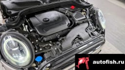 Миниатюра 6