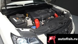 Миниатюра 6