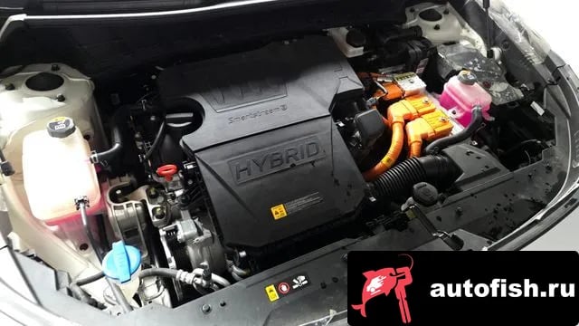 Kia Niro Di Ol Nu Niro 2022 года - вид 6