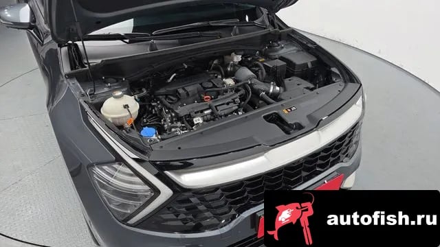 Kia Sportage Sportage 5th Generation 2023 года - вид 6