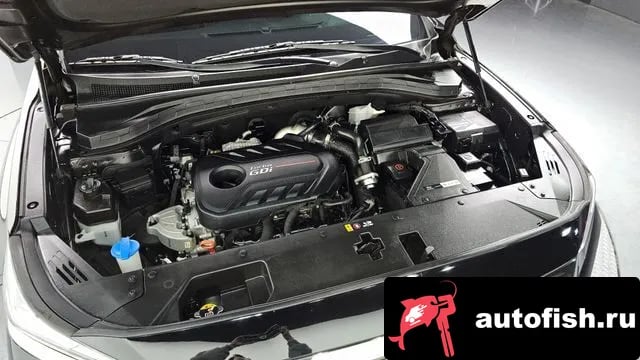 Hyundai Santafe San Tafe TM 2020 года - вид 6