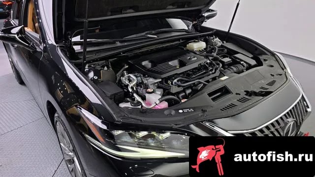 Lexus ES ES300h 7th generation 2024 года - вид 6