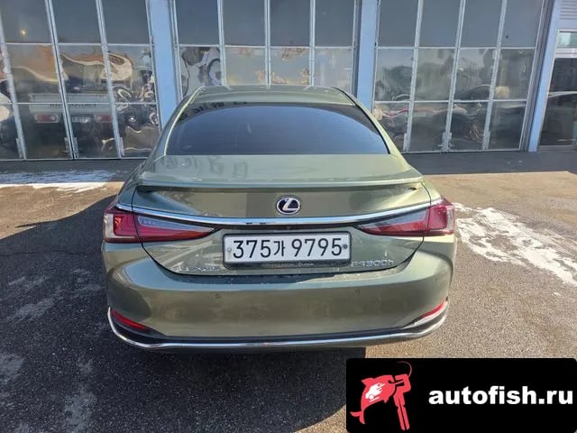 Lexus ES ES300h 7th generation 2021 года - вид 5