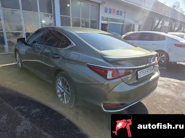 Lexus ES ES300h 7th generation 2021 года - вид 6