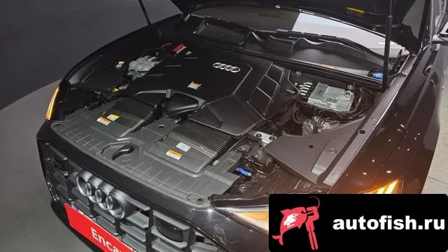 Audi Q8 Q8 (4M) 2022 года - вид 6