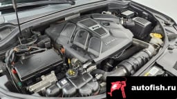 Миниатюра 6