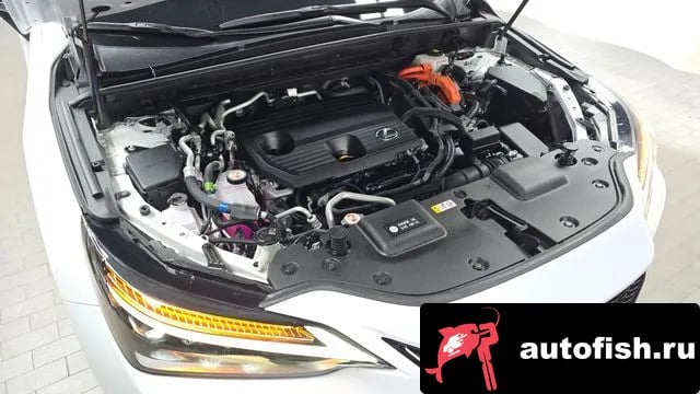 Lexus NX NX450h + 2nd generation 2024 года - вид 6