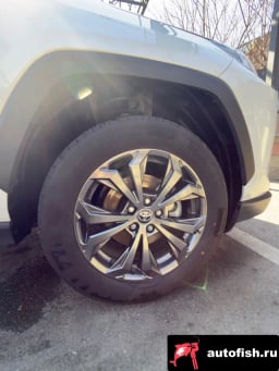 Миниатюра 6