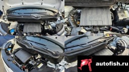 Миниатюра 6