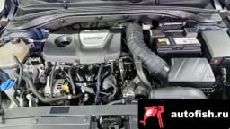 Миниатюра 6