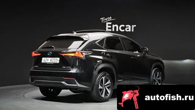 Lexus NX NX300h 2018 года - вид 2