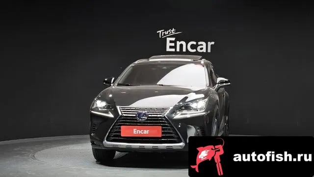 Lexus NX NX300h 2018 года - вид 3