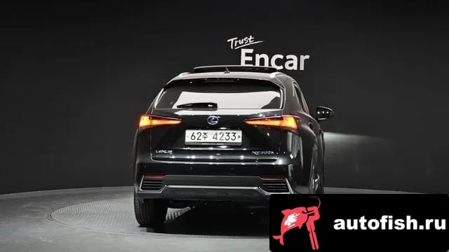 Lexus NX NX300h 2018 года - вид 4