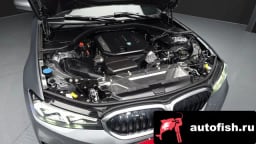 Миниатюра 6