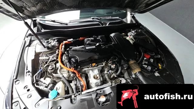 Honda Accord Accord 10th Generation 2019 года - вид 6