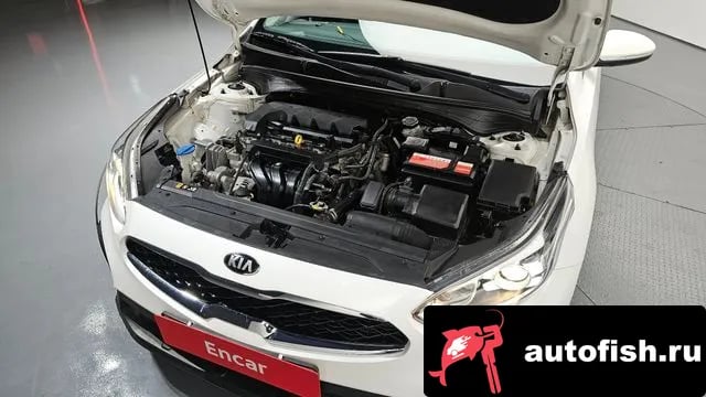 Kia K3 Come New K3 2019 года - вид 6